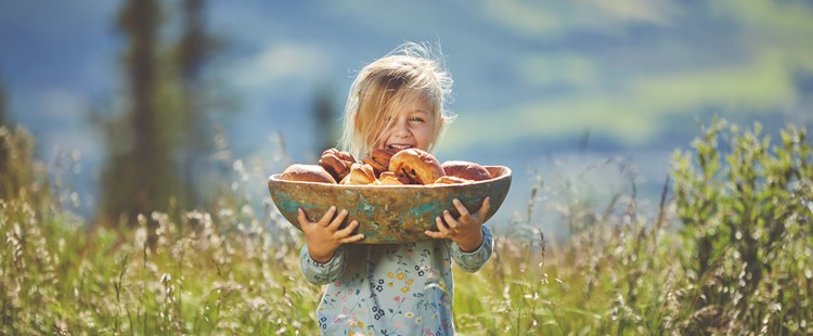 Eventyrlig bakeri i Valdres